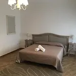 Garden Guest house