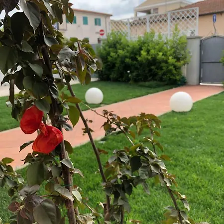 בית הארחה Garden