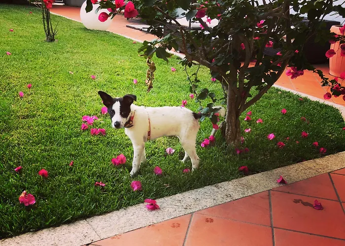 Garden Guest house Olbia