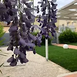 Gasthof Garden Olbia