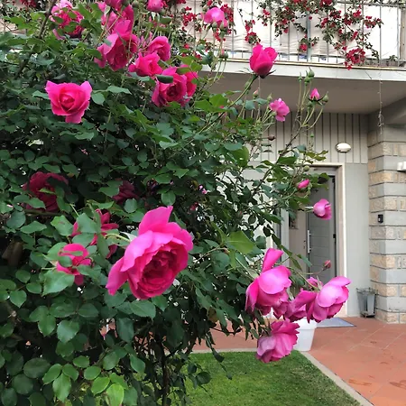 Πανσιόν Garden Όλμπια