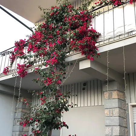 Garden 3* Όλμπια