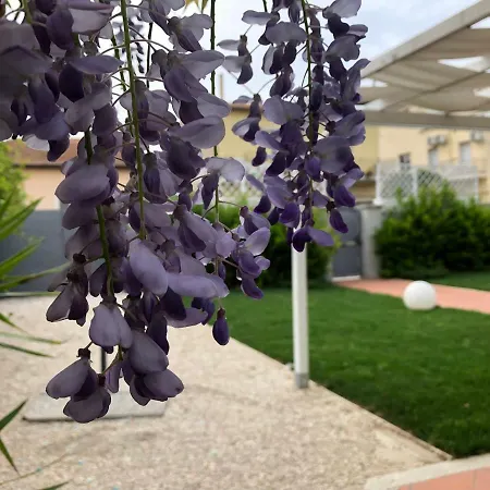 Πανσιόν Garden Όλμπια